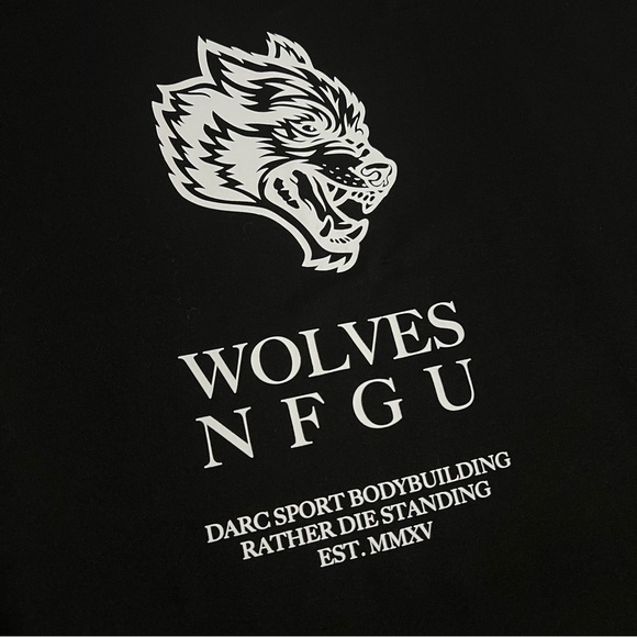 DARC SPORT Same Energy (Dry Wolf) Raglan Tee - Picture 3 of 8